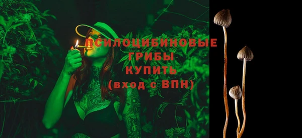 гашик Арсеньев