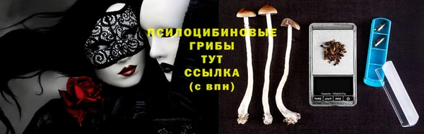 гашик Арсеньев