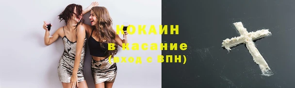 гашик Арсеньев