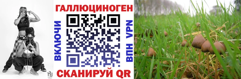 Псилоцибиновые грибы Magic Shrooms  закладка  ОМГ ОМГ   Ревда 